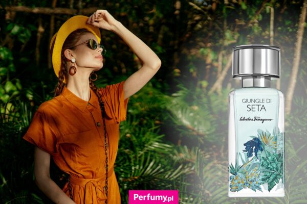 Perfumy: The Modern Scent Destination That Understands Your Vibe